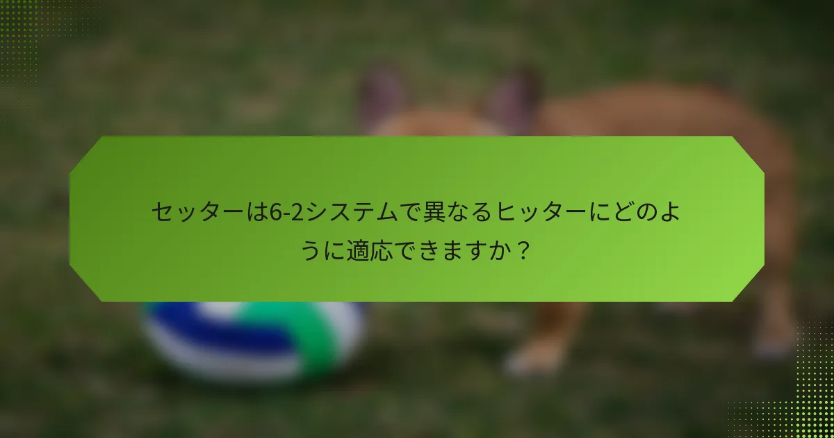 セッターは6-2システムで異なるヒッターにどのように適応できますか？